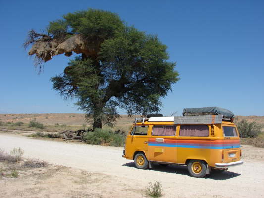 Kgalagadi Nationalpark