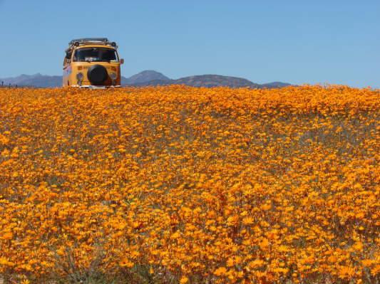 Namakwa Nationalpark