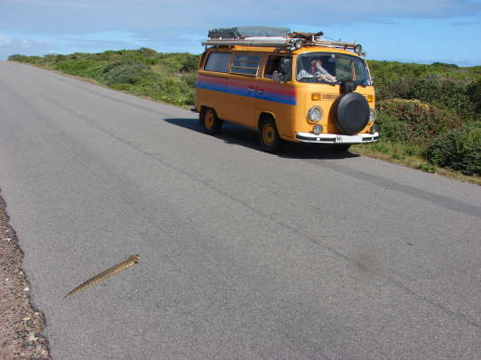 West Coast Nationalpark