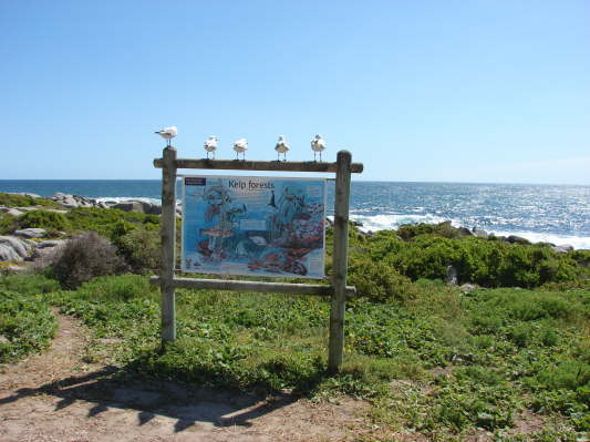 West Coast Nationalpark