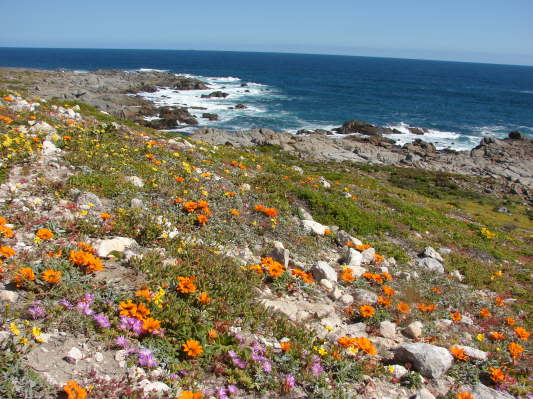 West Coast Nationalpark