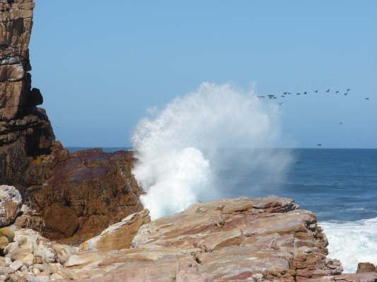 Kap der Guten Hoffnung