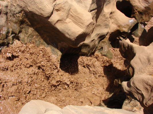 Tsavo East Nationalpark, Kenya