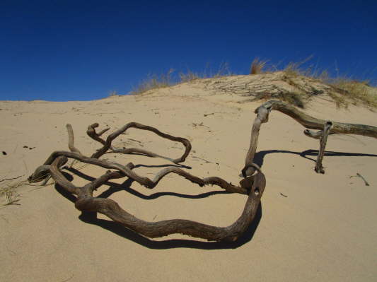 Witsand Nature Reserve