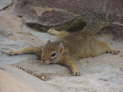Etosha Nationalpark