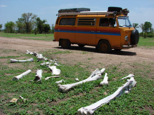 South Luangwa Nationalpark