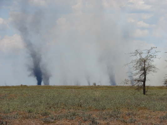 Gorongosa Nationalpark