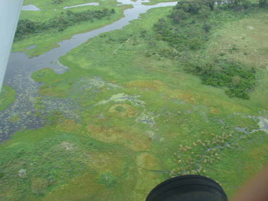 Okavango Delta