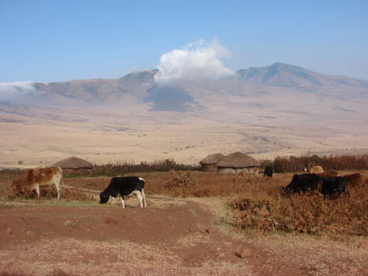 Ngorongoro Conservation Area