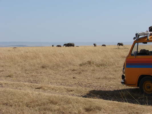 Massai Mara Nationalpark