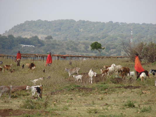 Massai Mara Viewpoint