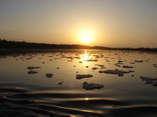 Murchison Falls Nationalpark