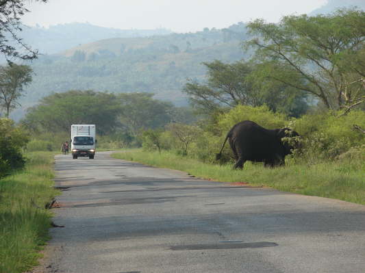 Queen Elizabeth Nationalpark