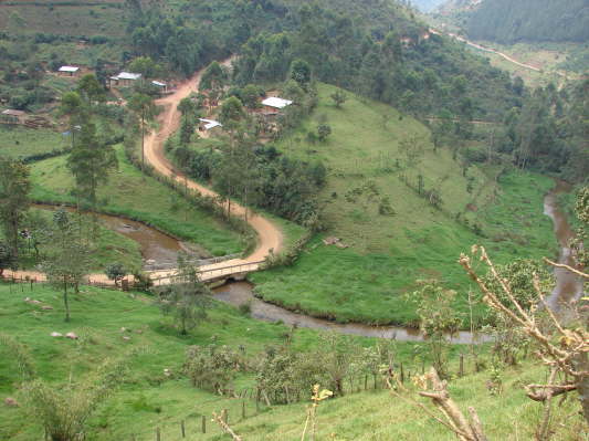 am Bwindi Nationalpark