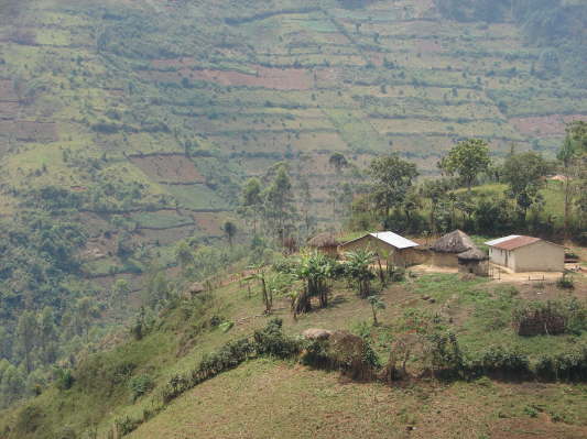 am Bwindi Nationalpark