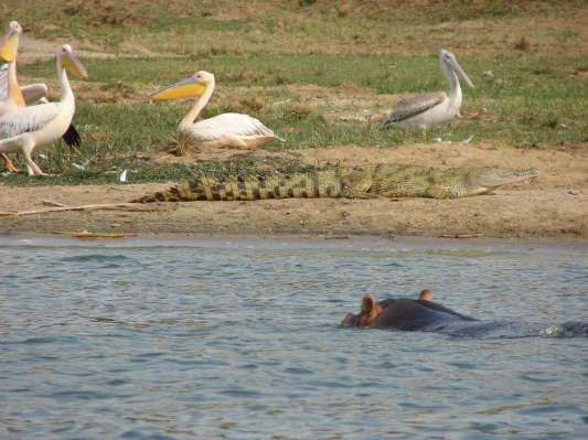 Queen Elizabeth Nationalpark