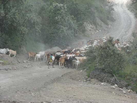 Hells Gate Nationalpark