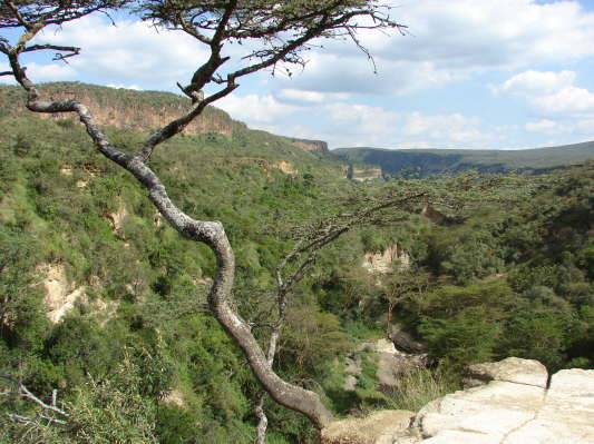 Hells Gate Nationalpark