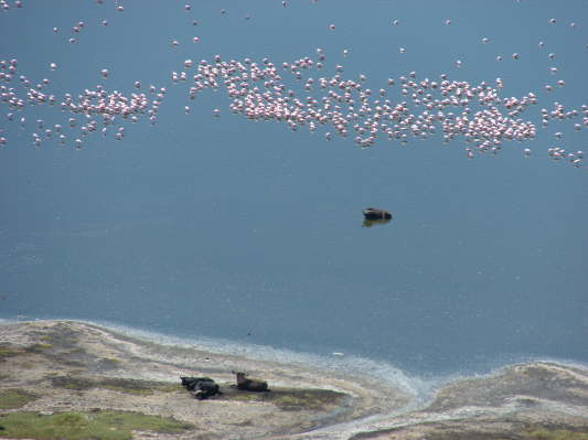 Lake Nakuru Nationalpark