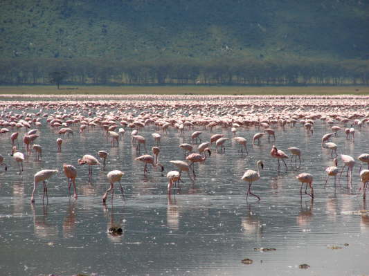 Lake Nakuru Nationalpark