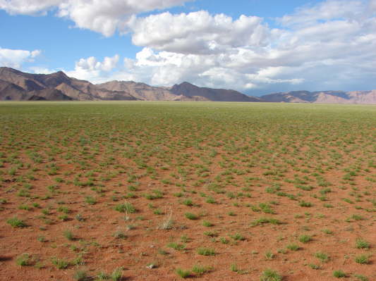 am Rande der Namib