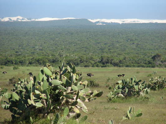 Addo Elefant Nationalpark