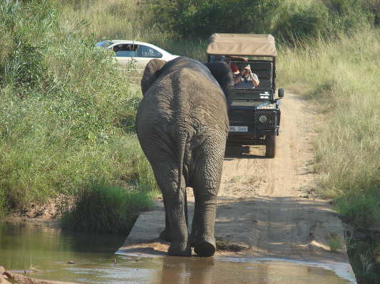 Umfolozi Hluhluwe Nationalpark