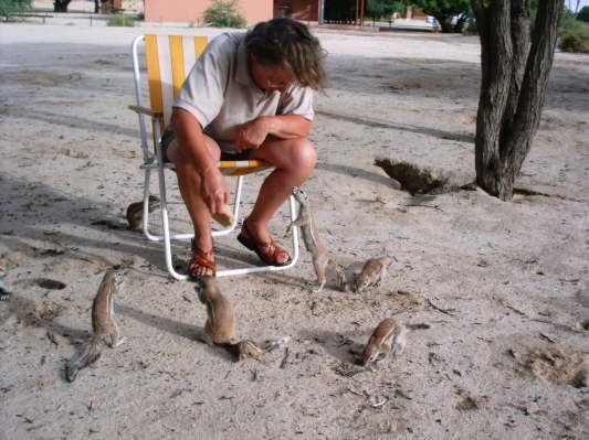 Kgalagadi-Nationalpark