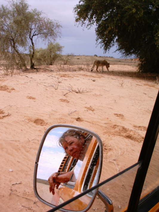 Kgalagadi-Nationalpark